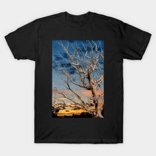 Winter Sunset T-Shirt